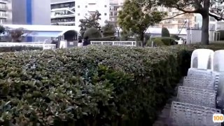 亚洲 在线 一区|亚洲精品99久久久久中文字幕
